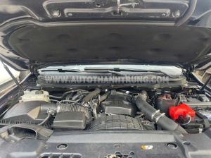 Xe Ford Ranger Wildtrak 2.0L 4x4 AT 2018